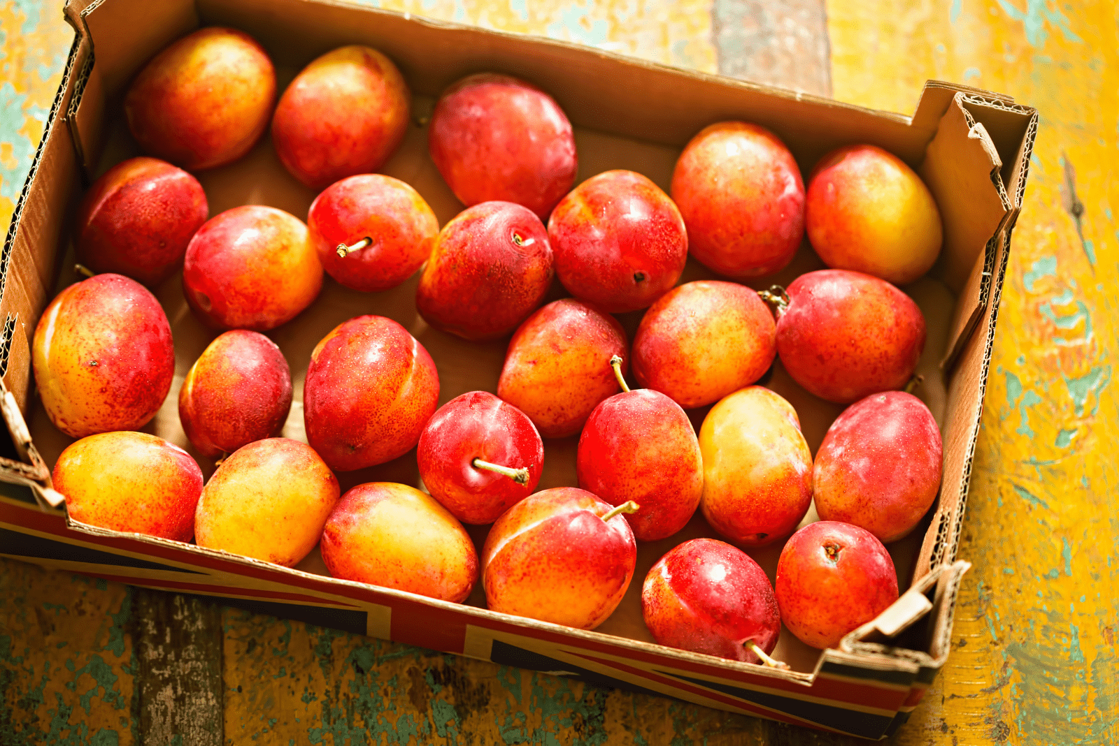 Victoria plum in crate