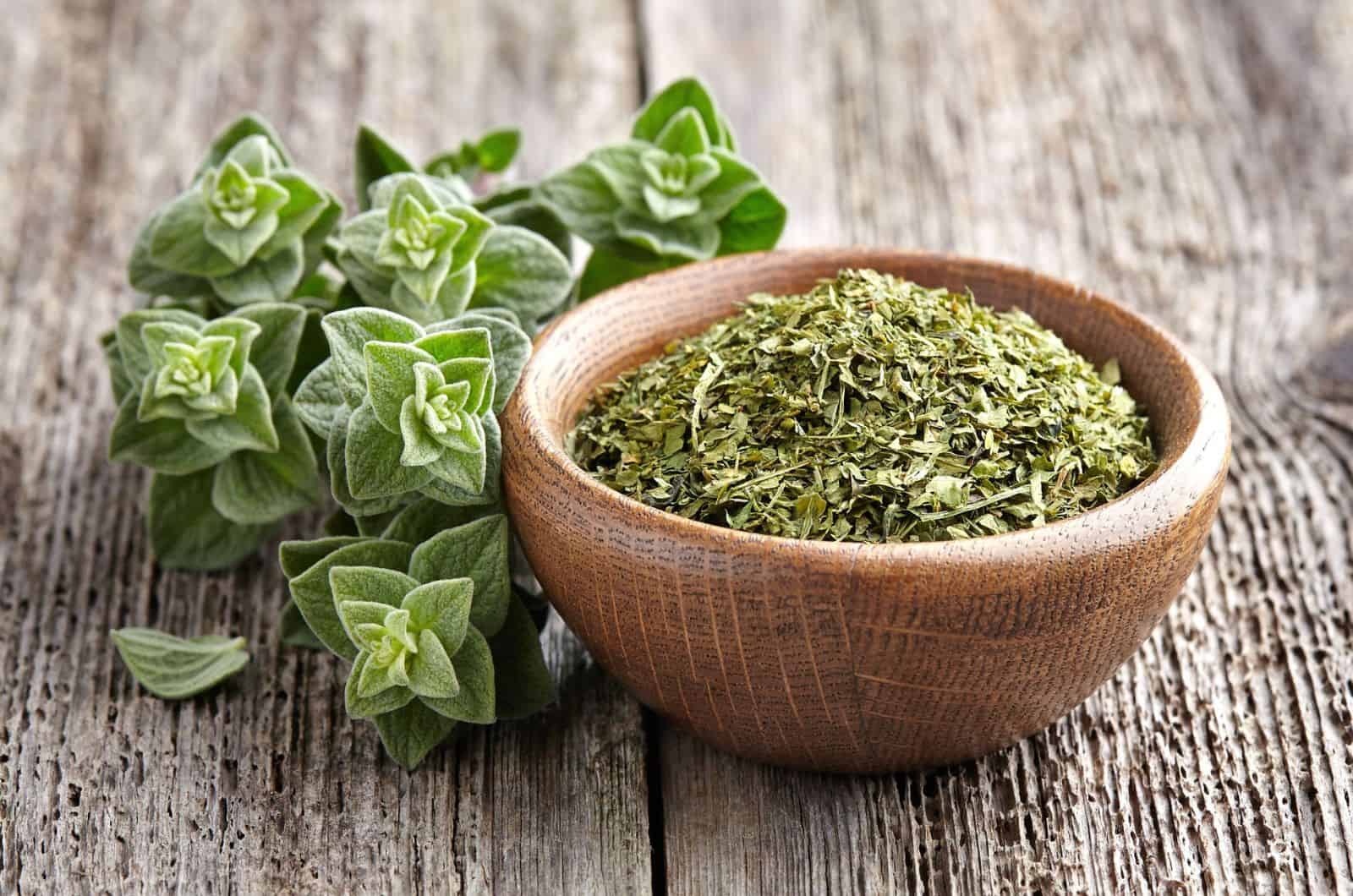 fresh and dry oregano