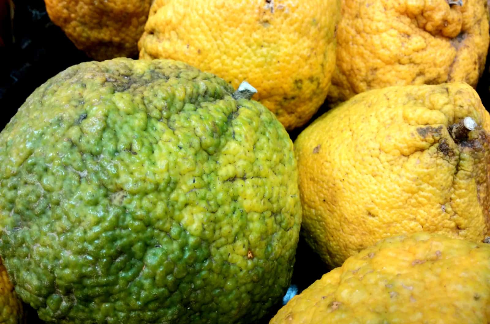 ugli fruit