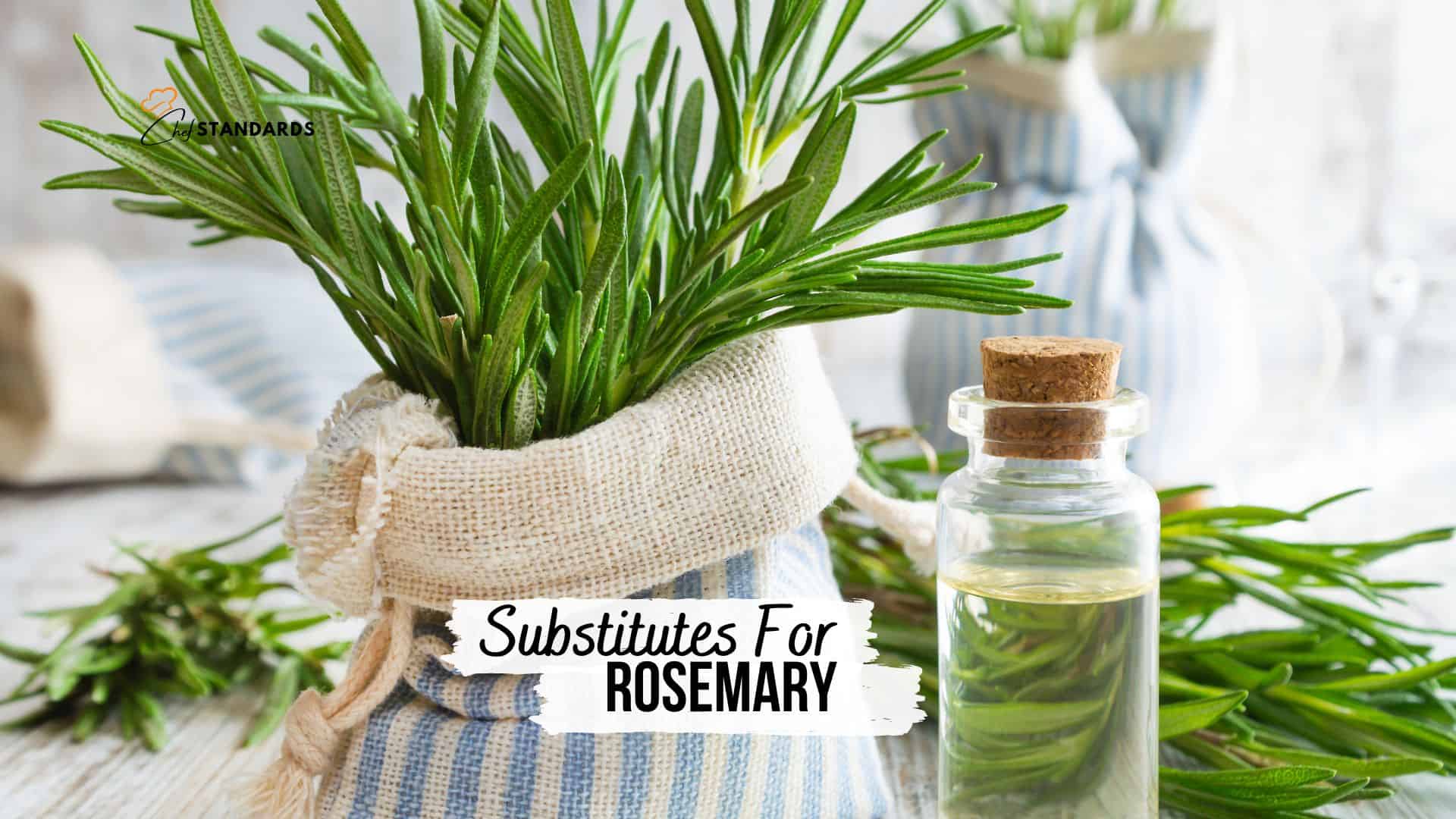Substitutes For Rosemary