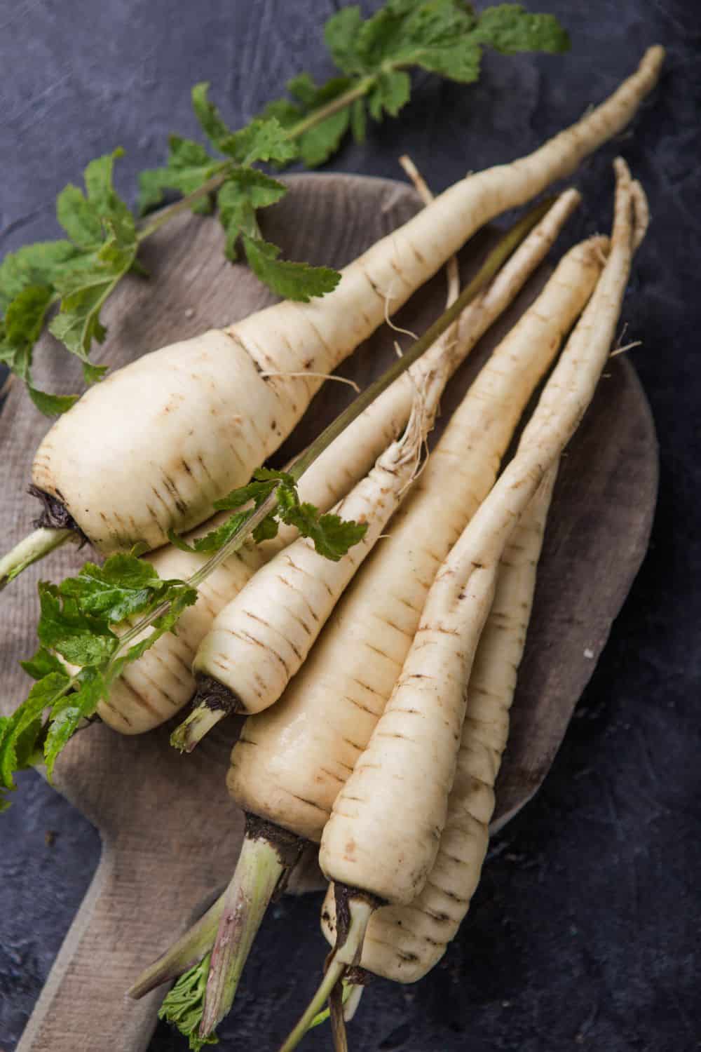 Bundle of fresh organic parsnip over gray texture background.