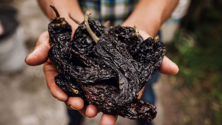 Finding The Best Substitute For Ancho Chiles: 15 Options