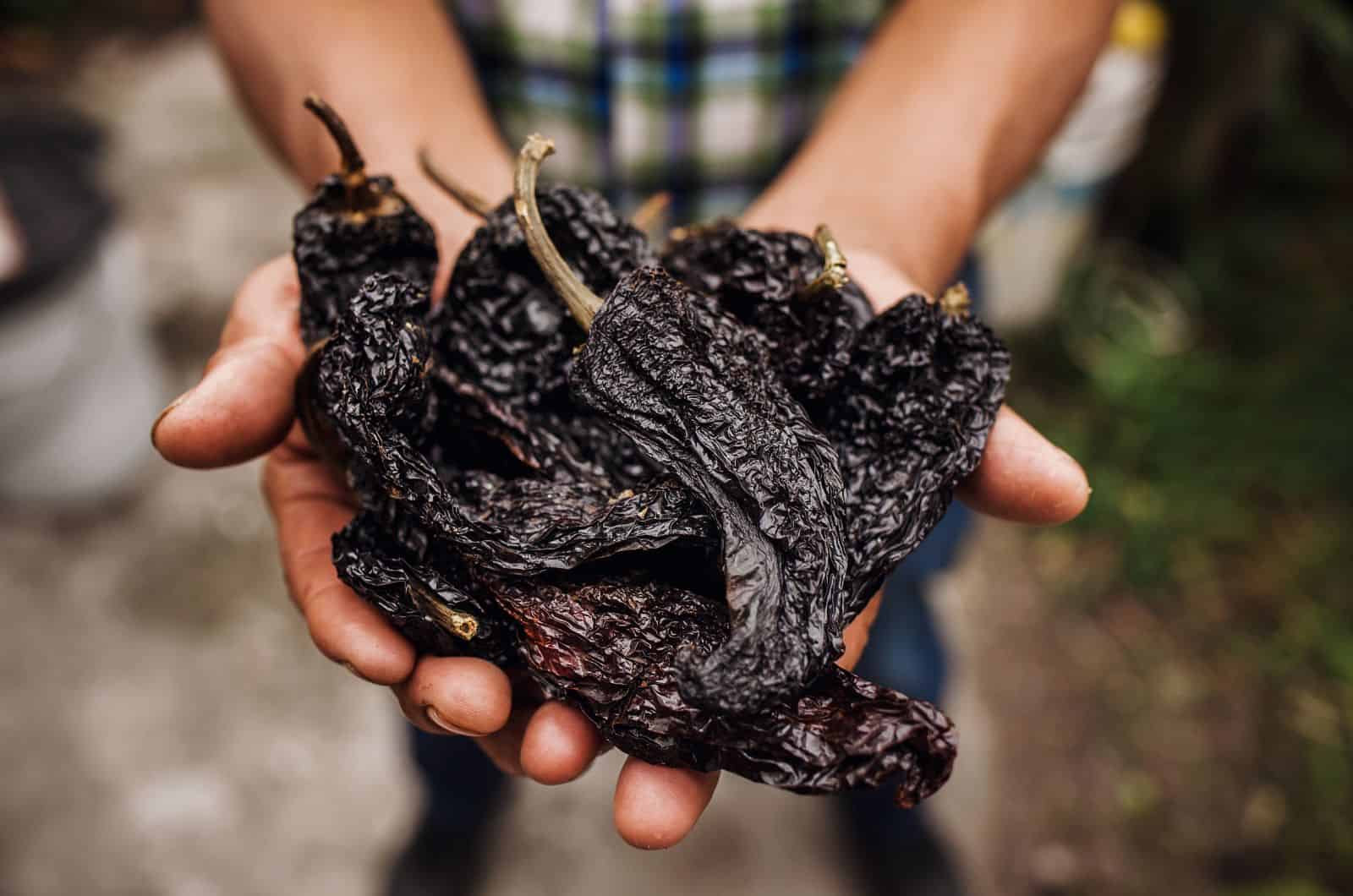 Finding The Best Substitute For Ancho Chiles 15 Options