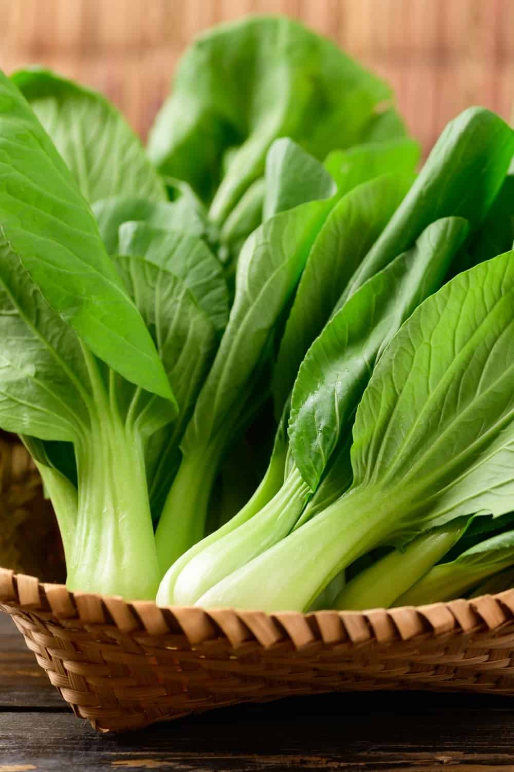 Frischer Bok Choy oder Pak Choi (Chinakohl)