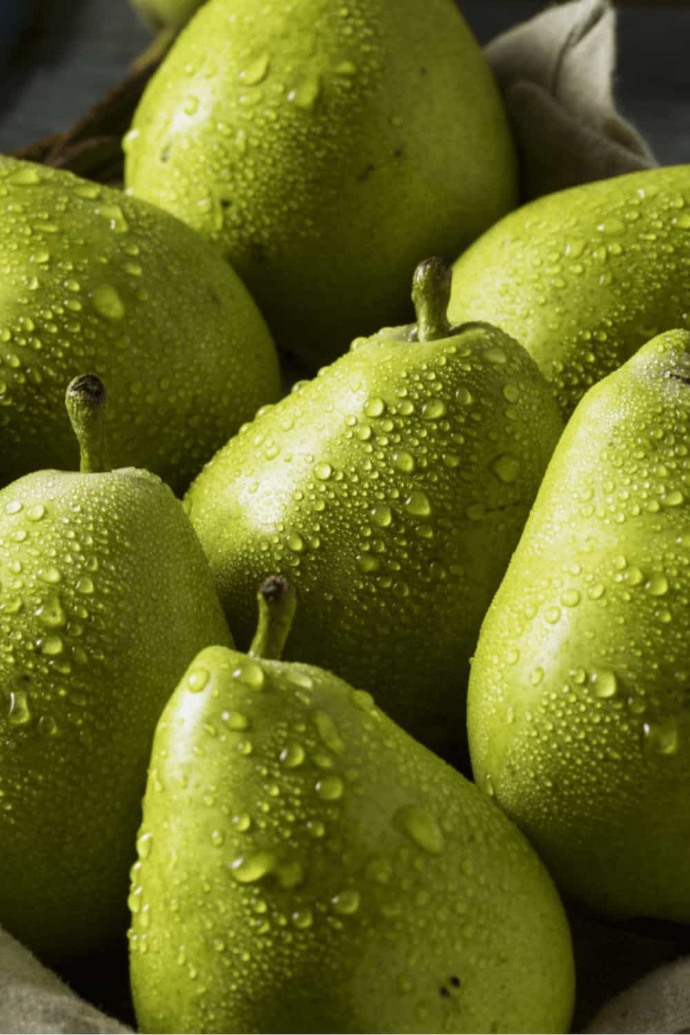 Green Anjou pear fruit