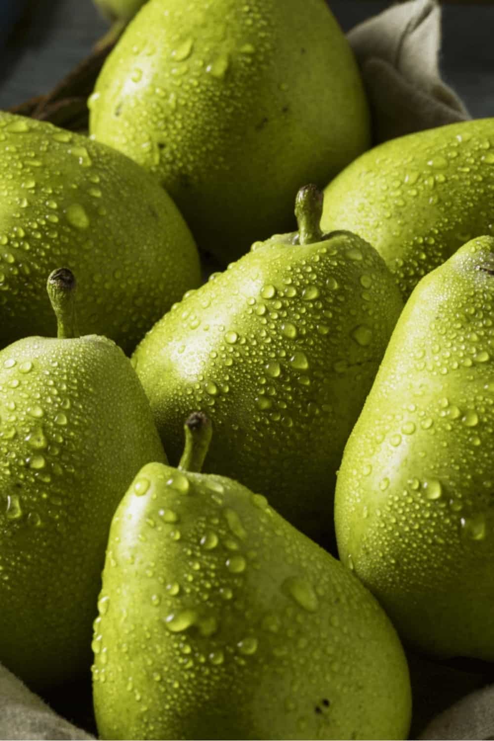 Poire verte d'Anjou