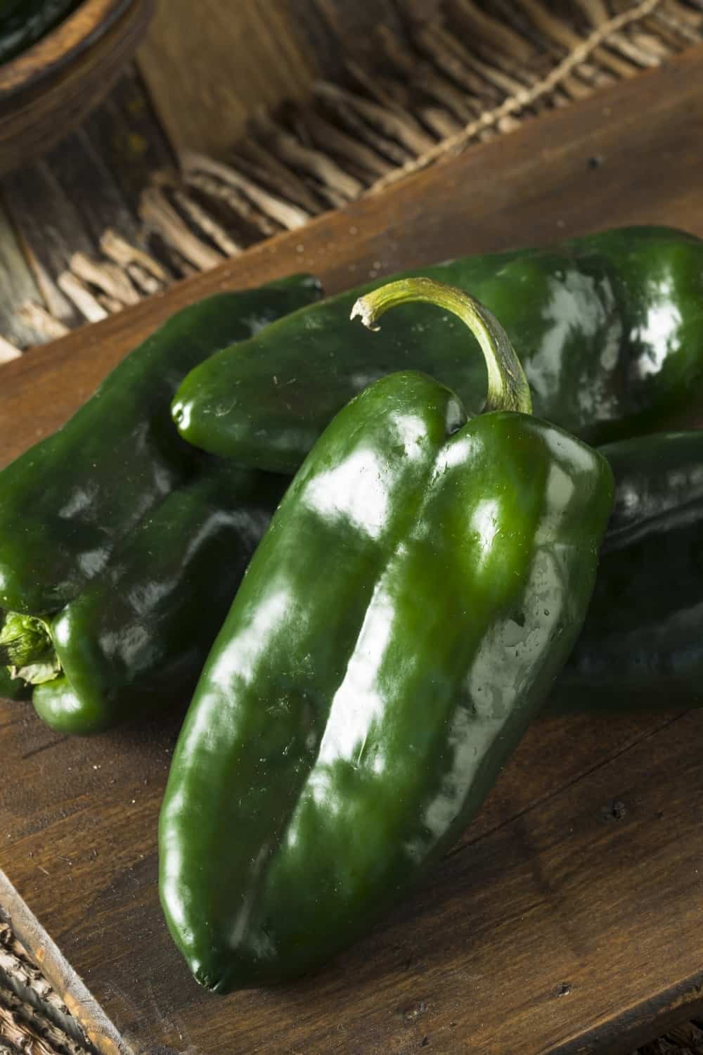 Raw Green Organic Poblano Peppers Ready to Cook