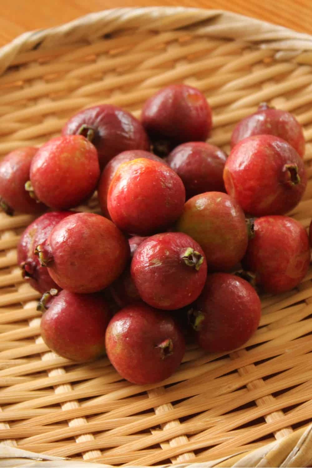 Strawberry guava fruit