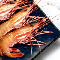 shrimps with thite spots on a plate