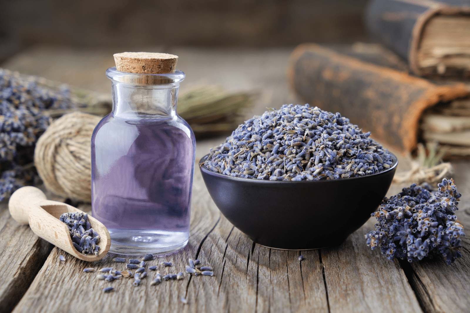 dry lavender in a container and lavender oil