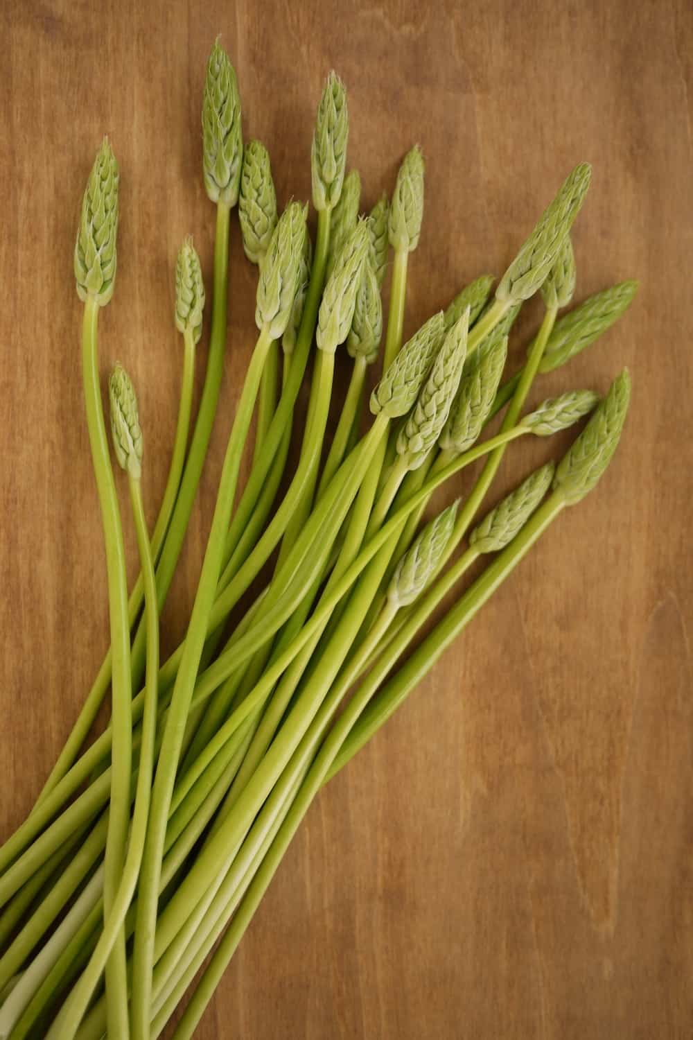 vegetable named Prussian asparagus.