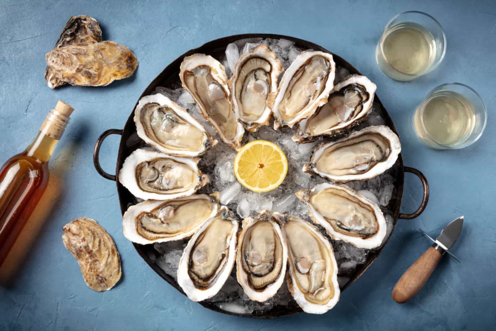 A dozen of raw oysters with a shucking knife