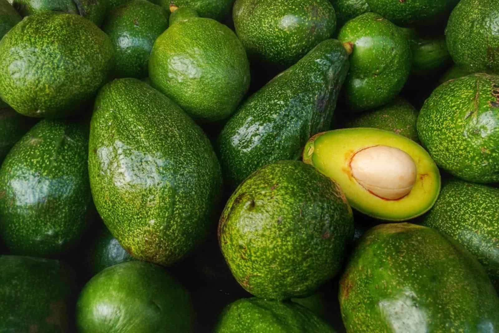 Bunch of green Avocados