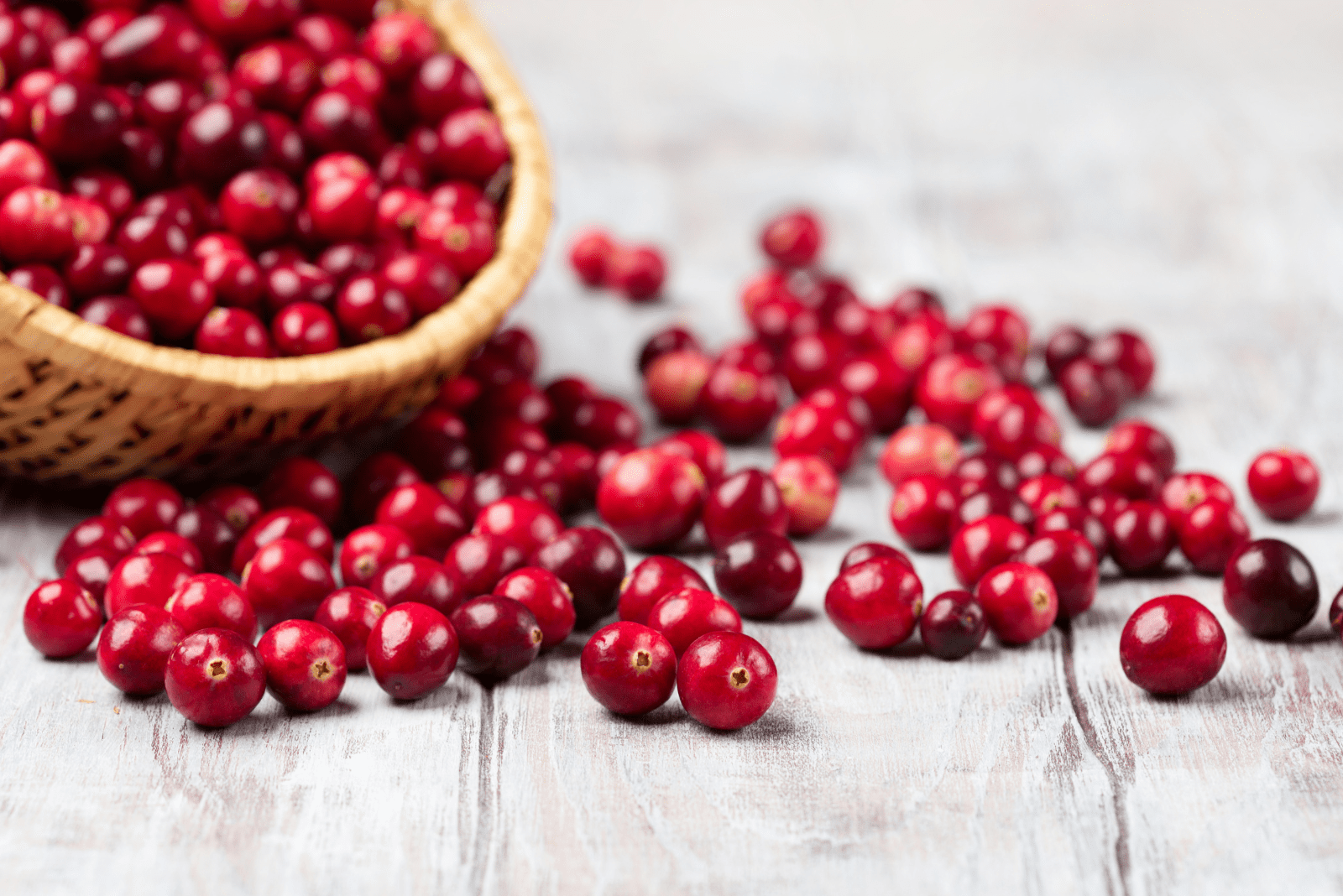 Cranberry