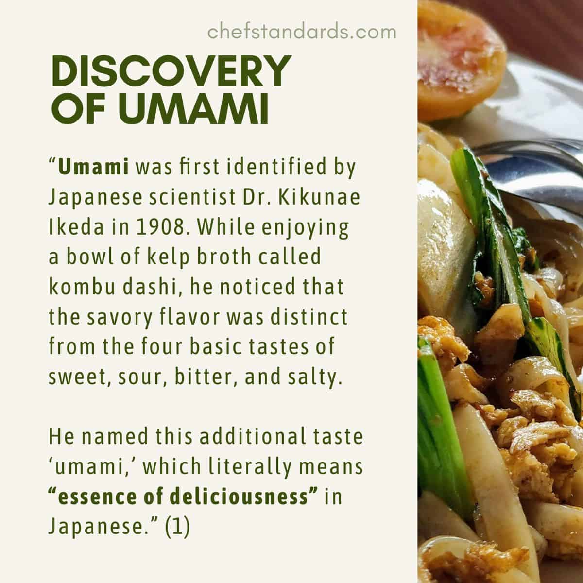 DISCOVERY OF UMAMI