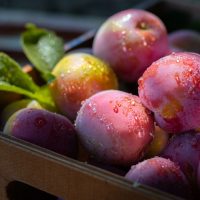 fresh plums in a wooden basket