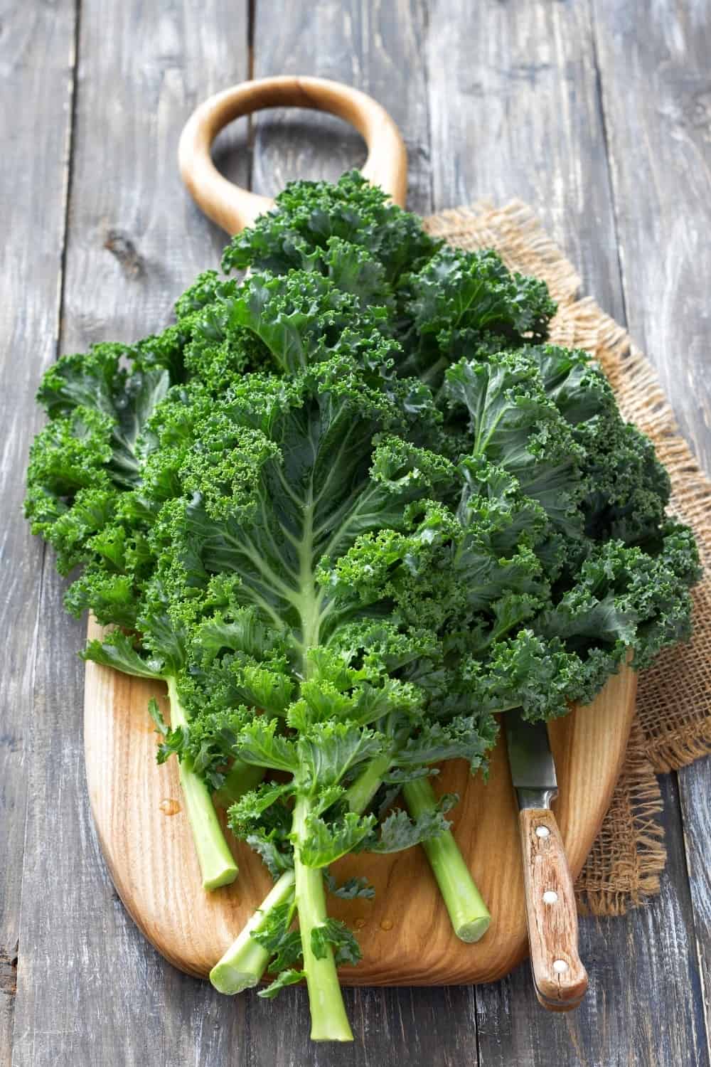 Fresh green curly kale leaves on a cutting board on a wooden table