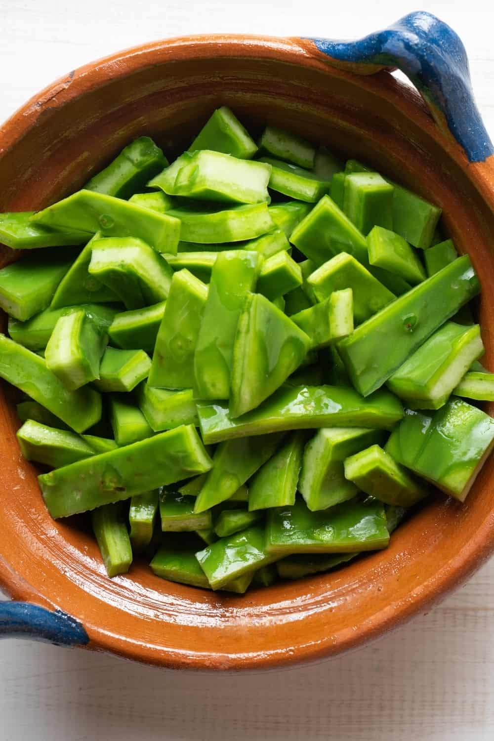 Fresh mexican nopal cactus