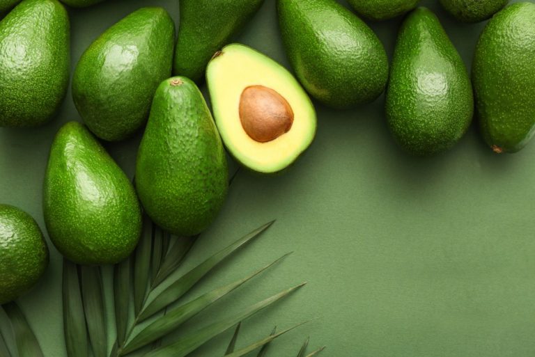 Fresh avocados and palm leaves on color background