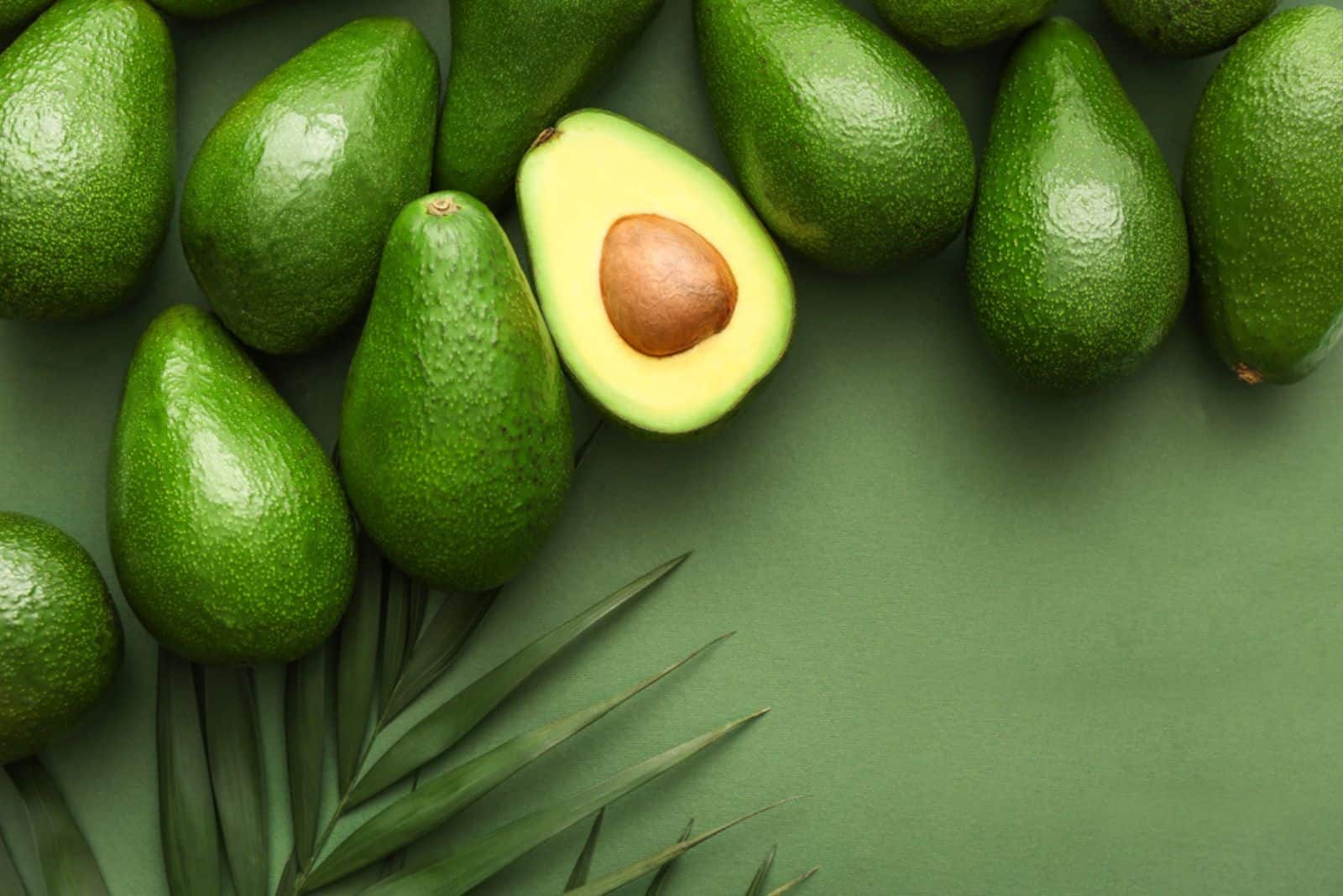 Fresh avocados and palm leaves on color background