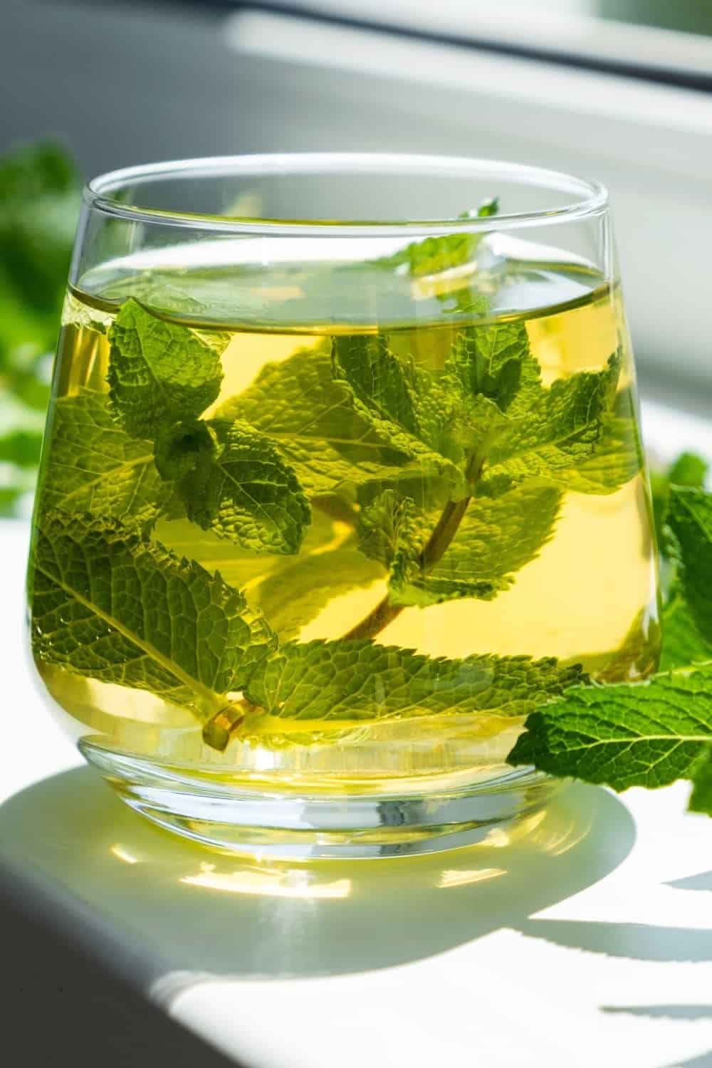 Té helado con menta en vaso con hojas de menta fresca alrededor