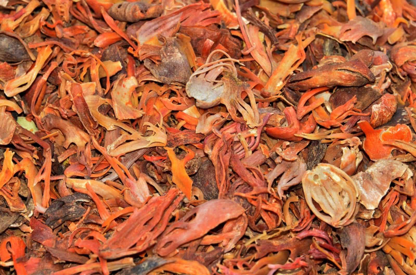 Mace spices, nutmeg flowers