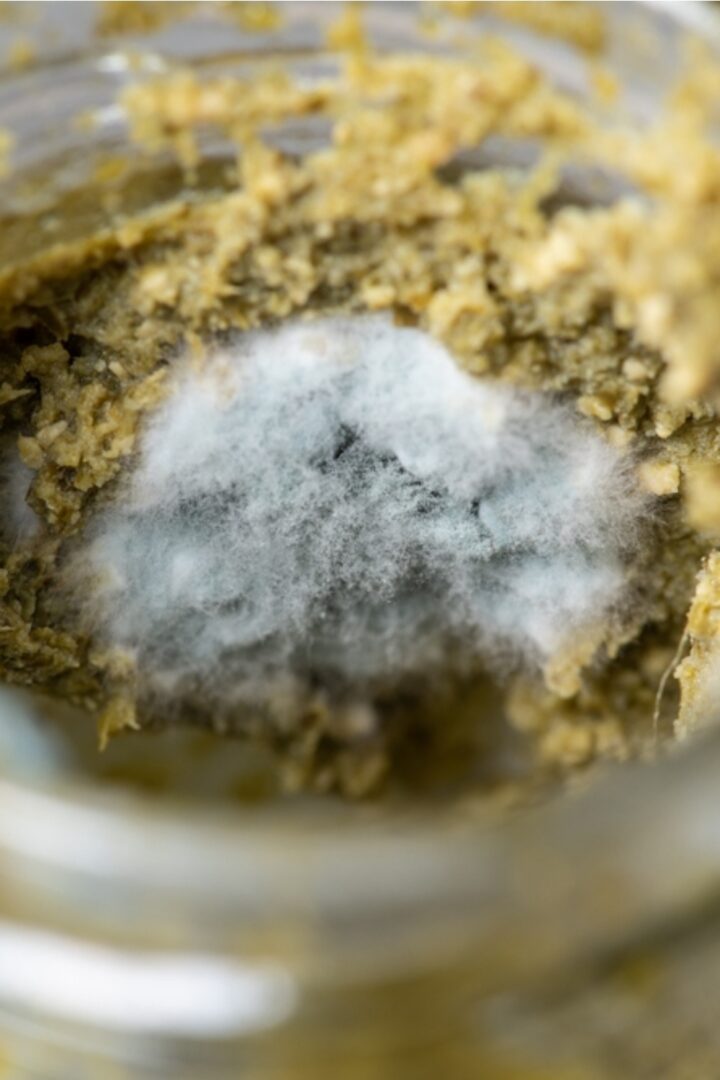 How Long Does Pesto Last After Opening?