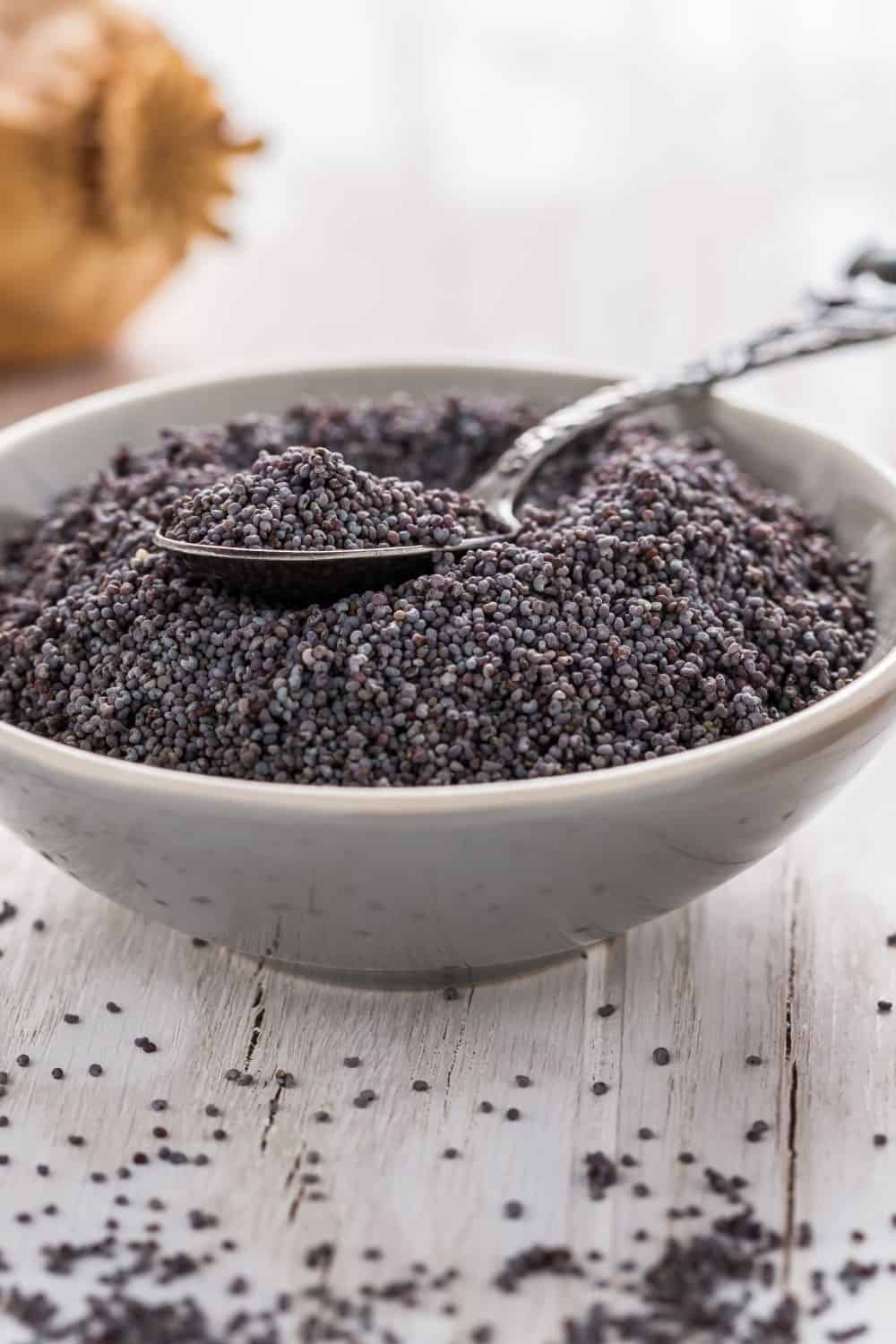 Organic poppy seeds in small bowl with poppy heads on wooden background