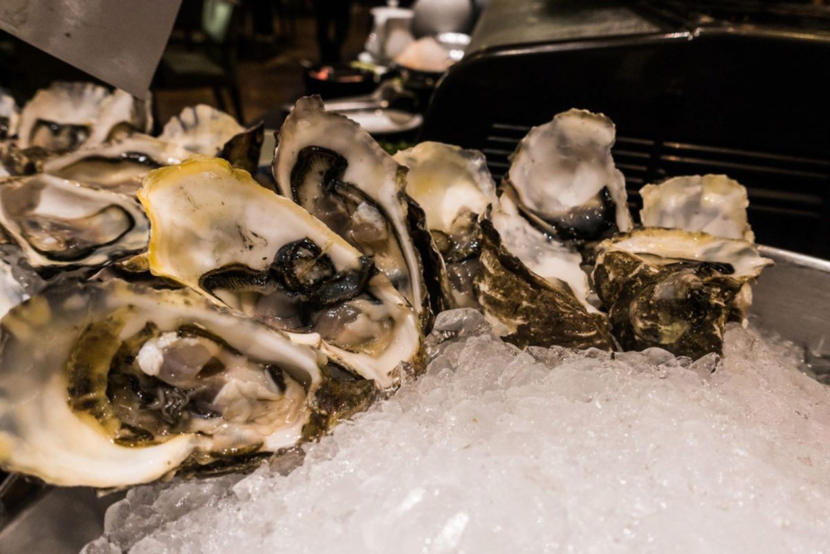 Can You Freeze Oysters? 4 Key Steps To Do It Properly