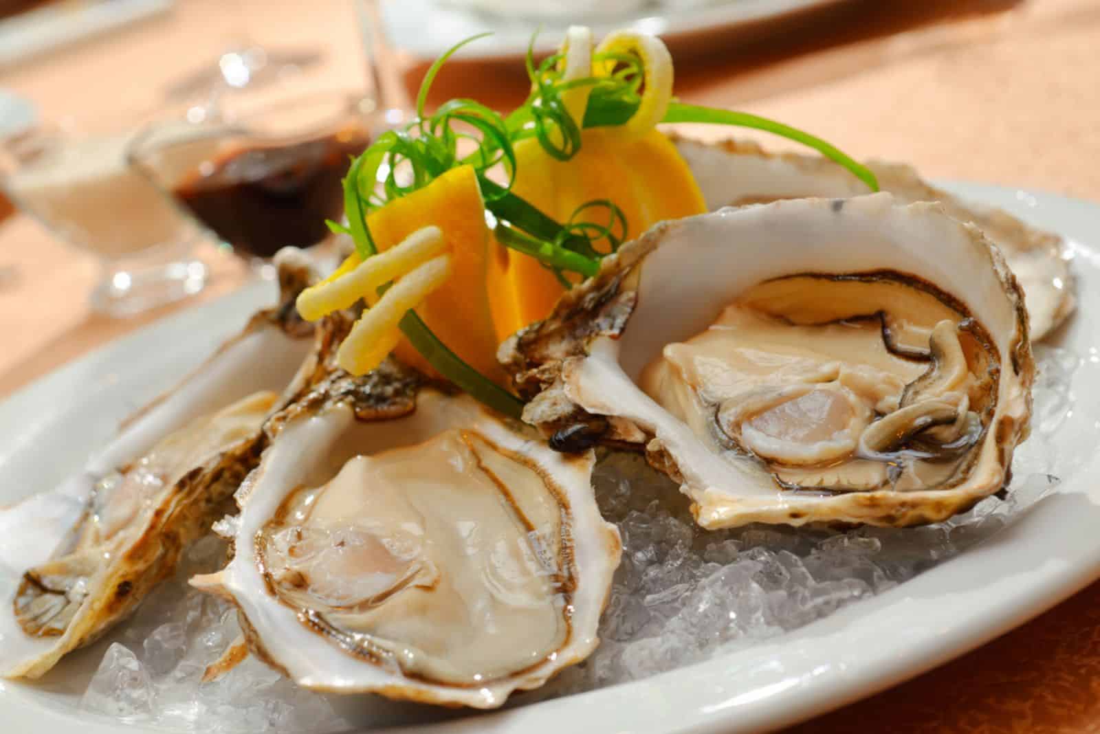Oysters in a plate with ice