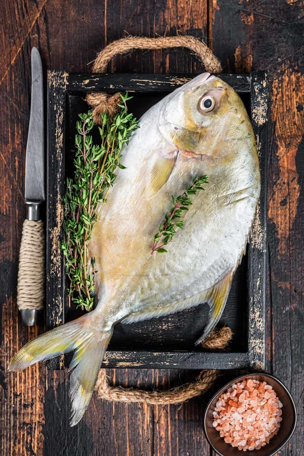 Raw fish butterfish or pompano with herbs in a wooden tray.