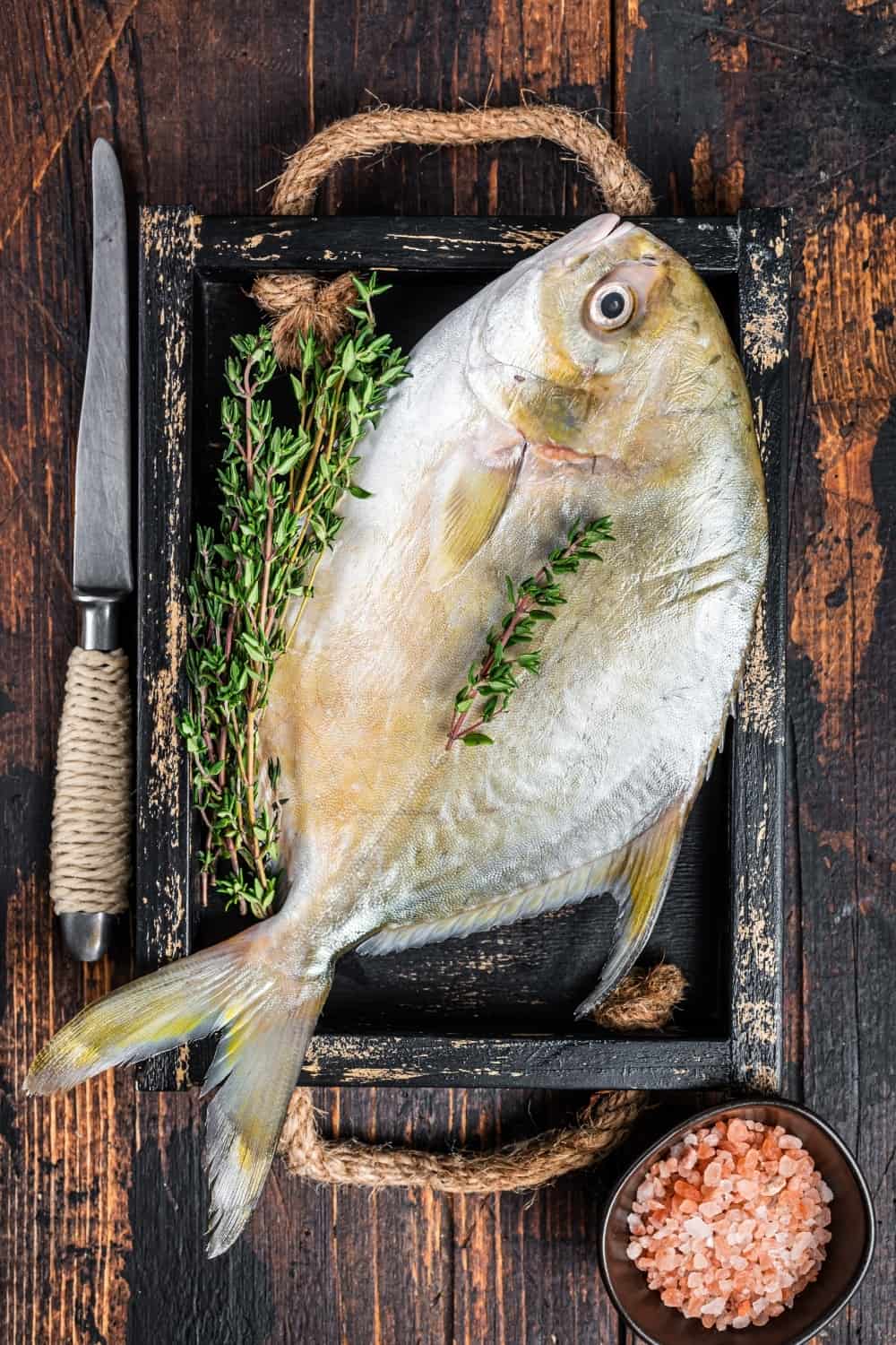 Pesce burro o pompano crudi con erbe in un vassoio di legno.