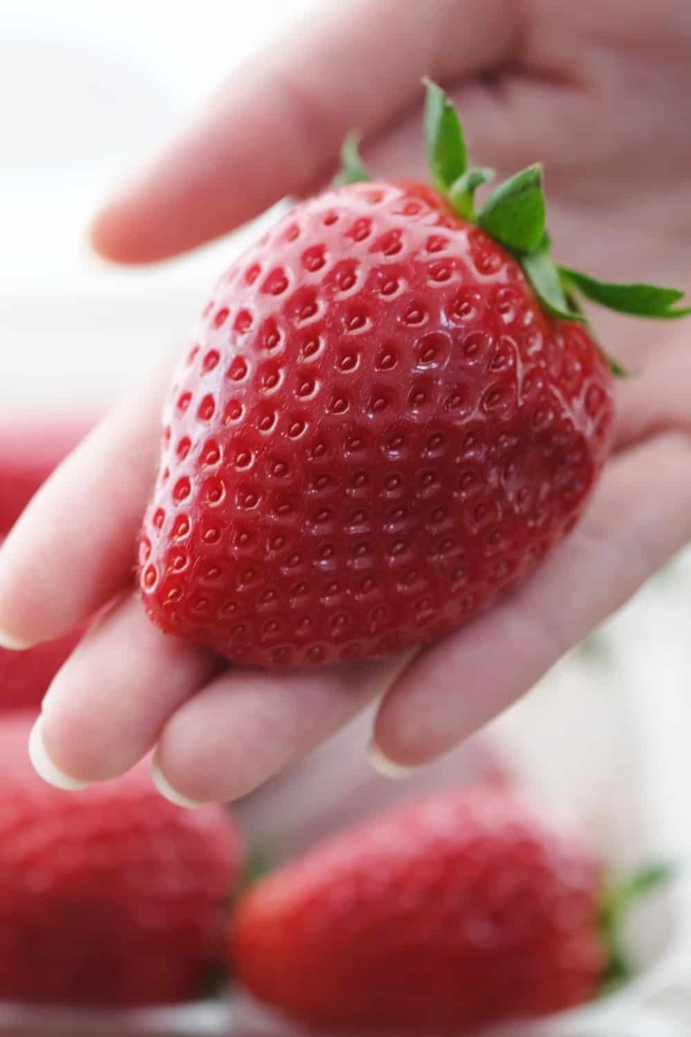 Selective focus of a very big strawberry in a palm with big strawberries