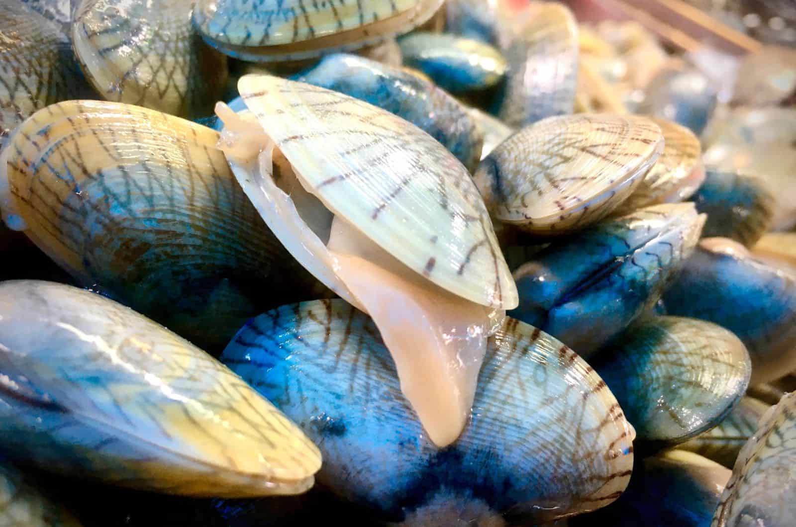 Shellfish