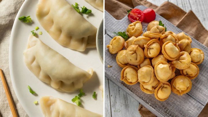 Steamed Vs Fried Dumplings: 3 Differences And Similarities