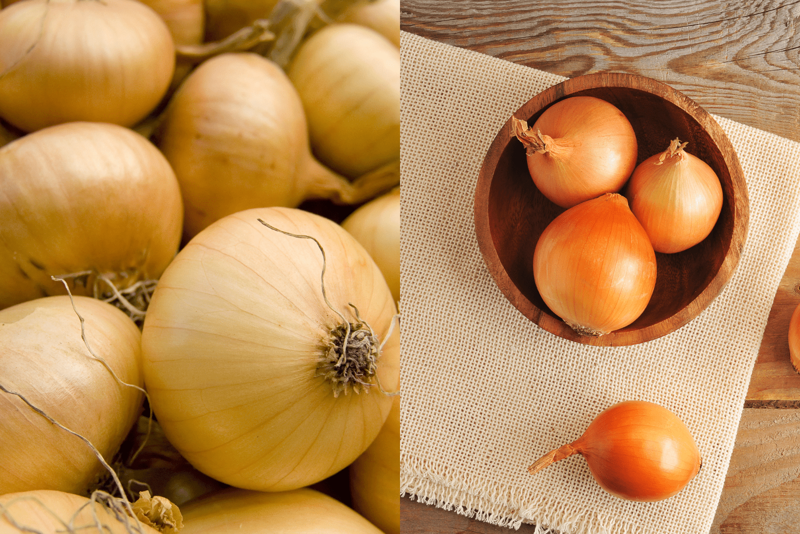 Sweet Onion And Yellow Onion