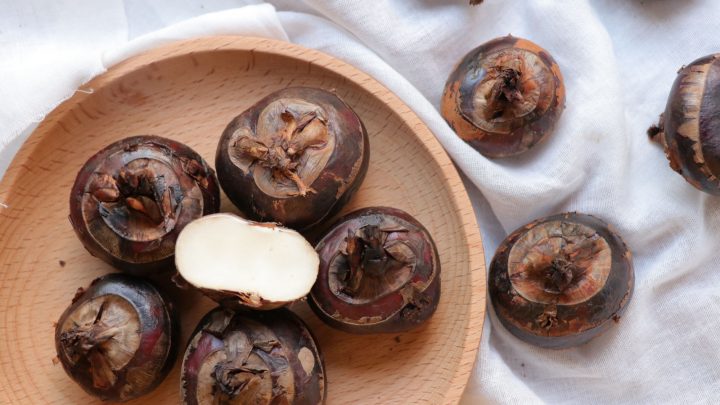 The Very Best Substitute For Water Chestnuts: 11 Finest Great Ideas