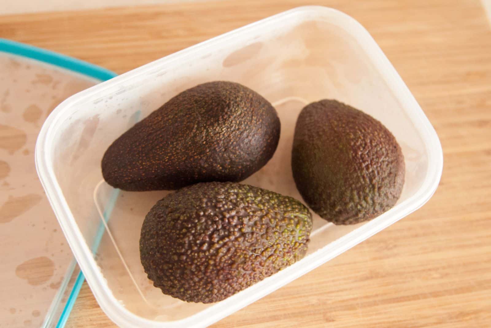Three whole avocados in plastic container on bench top - to be stored in the fridge