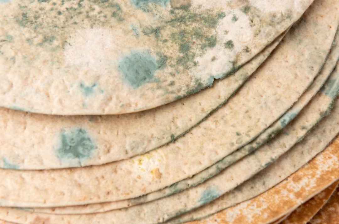 Do Corn Tortillas Go Bad? And Extending Their Shelf Life