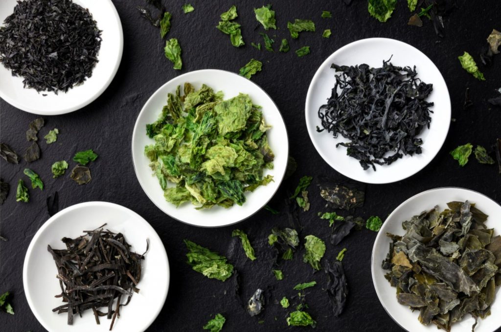 What Does Seaweed Taste Like? 4 Similar Umami Tastes