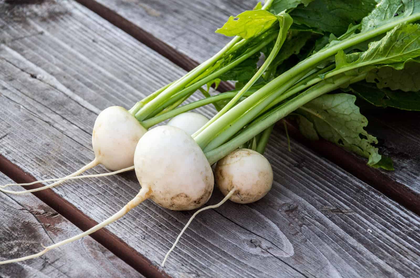 White Turnip