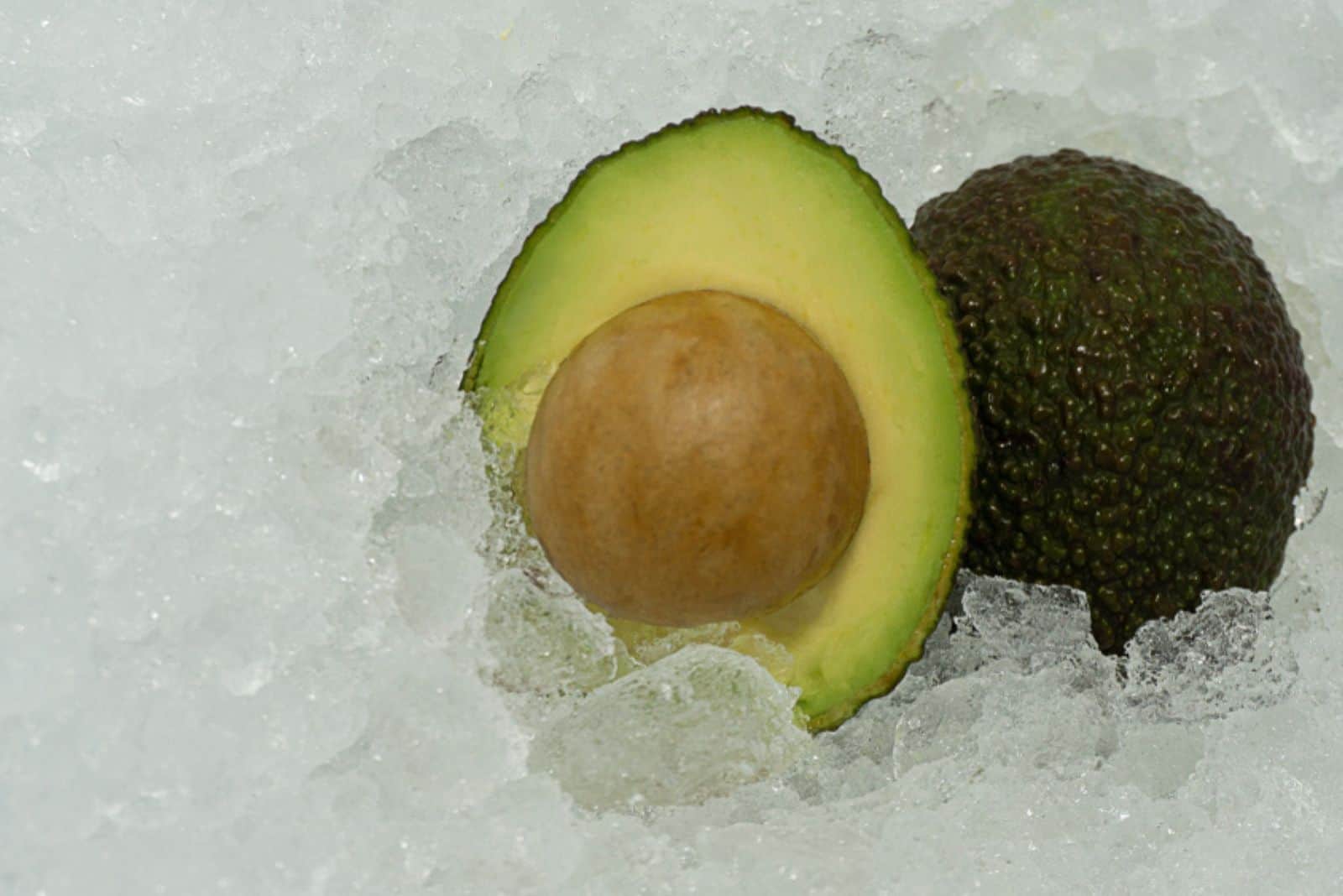 avocat vert coupé en deux frais et sain sur fond de glace