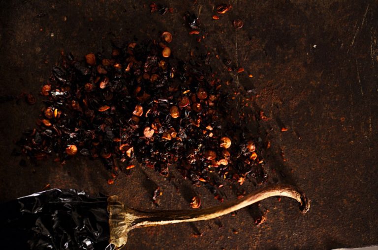 Perfect Adobo Sauce Substitute 13 Finest Solutions