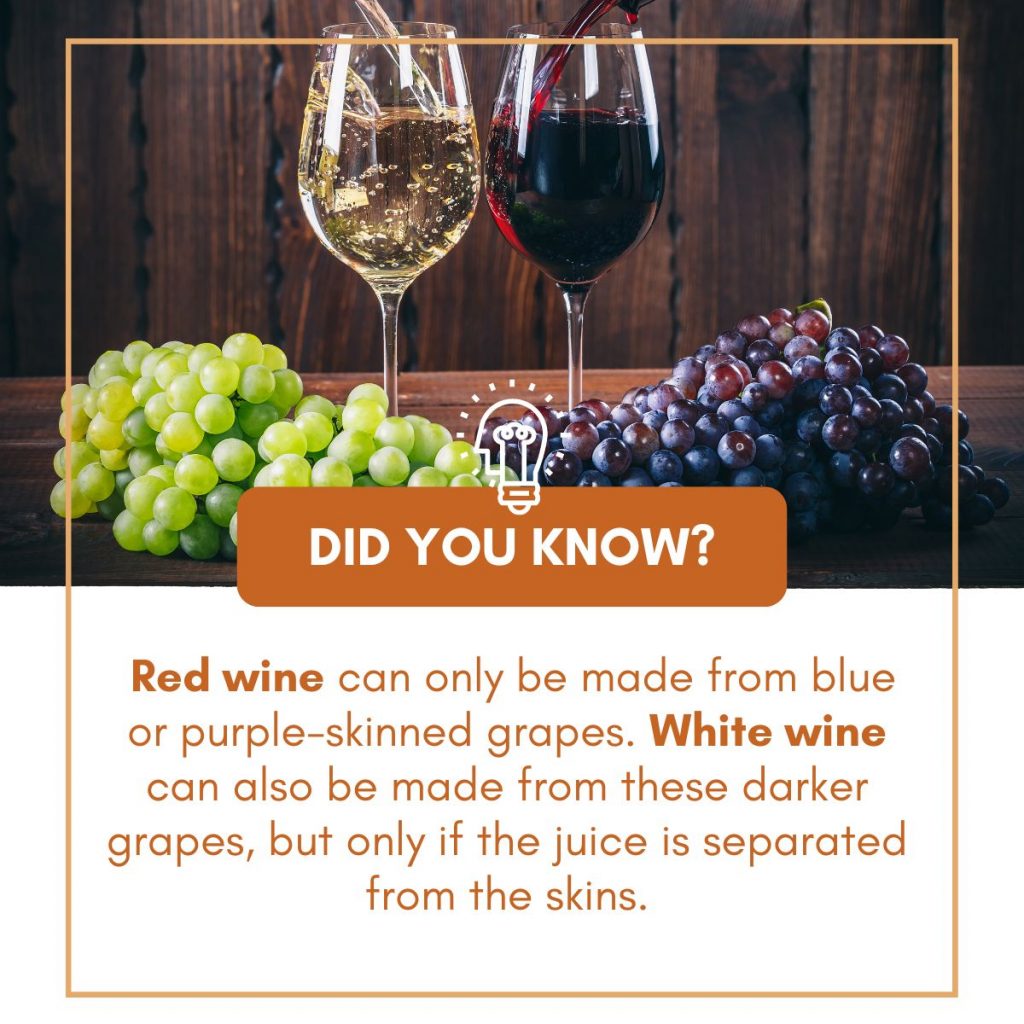 18 Tangy And Zesty Apple Cider Substitutes For Cooking