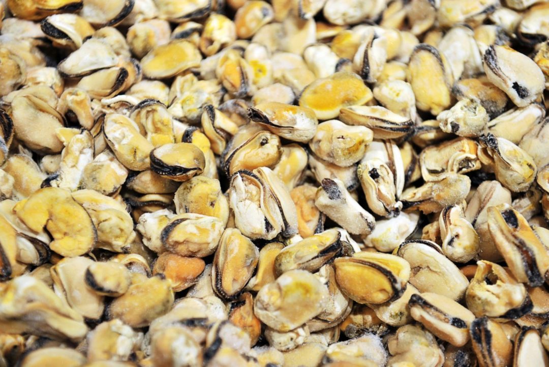 Can You Freeze Oysters? 4 Key Steps To Do It Properly