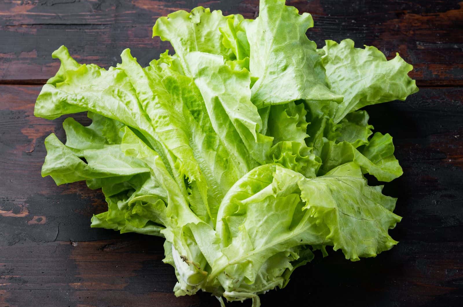 lettuce on black table