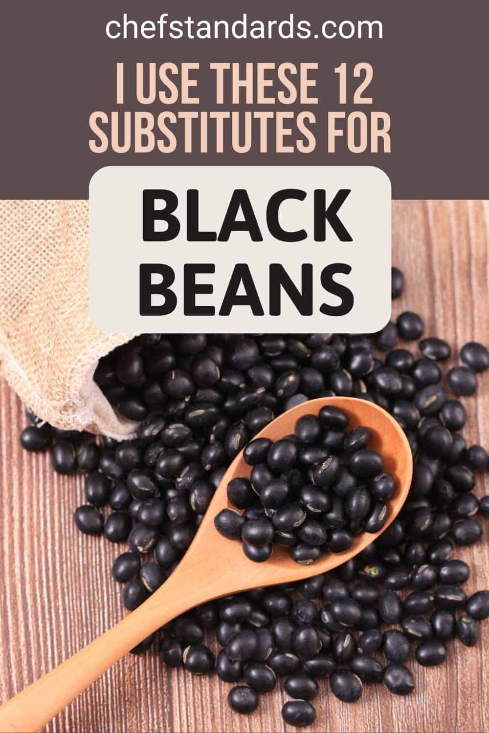 12 Amazing Substitutes For Black Beans That Work Perfectly