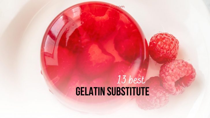 10 Best Gelatin Substitutes For Gel-Like Texture And Thickening
