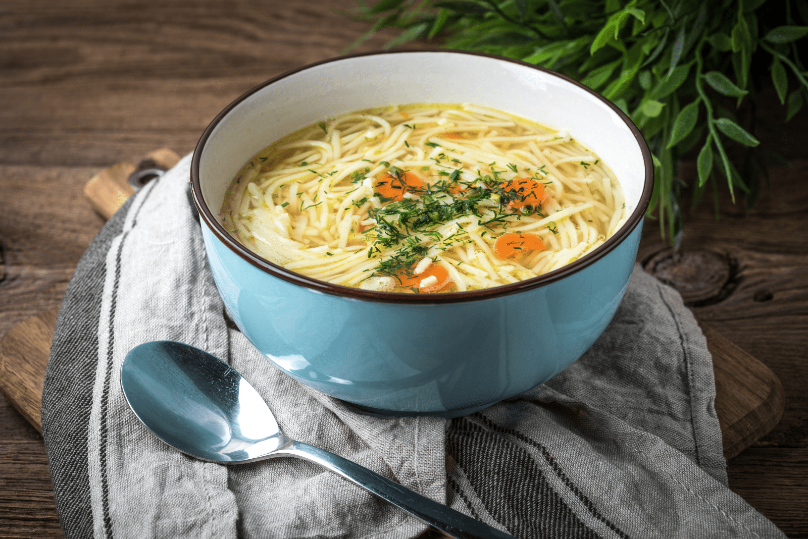 Zuppa di pollo in una ciotola