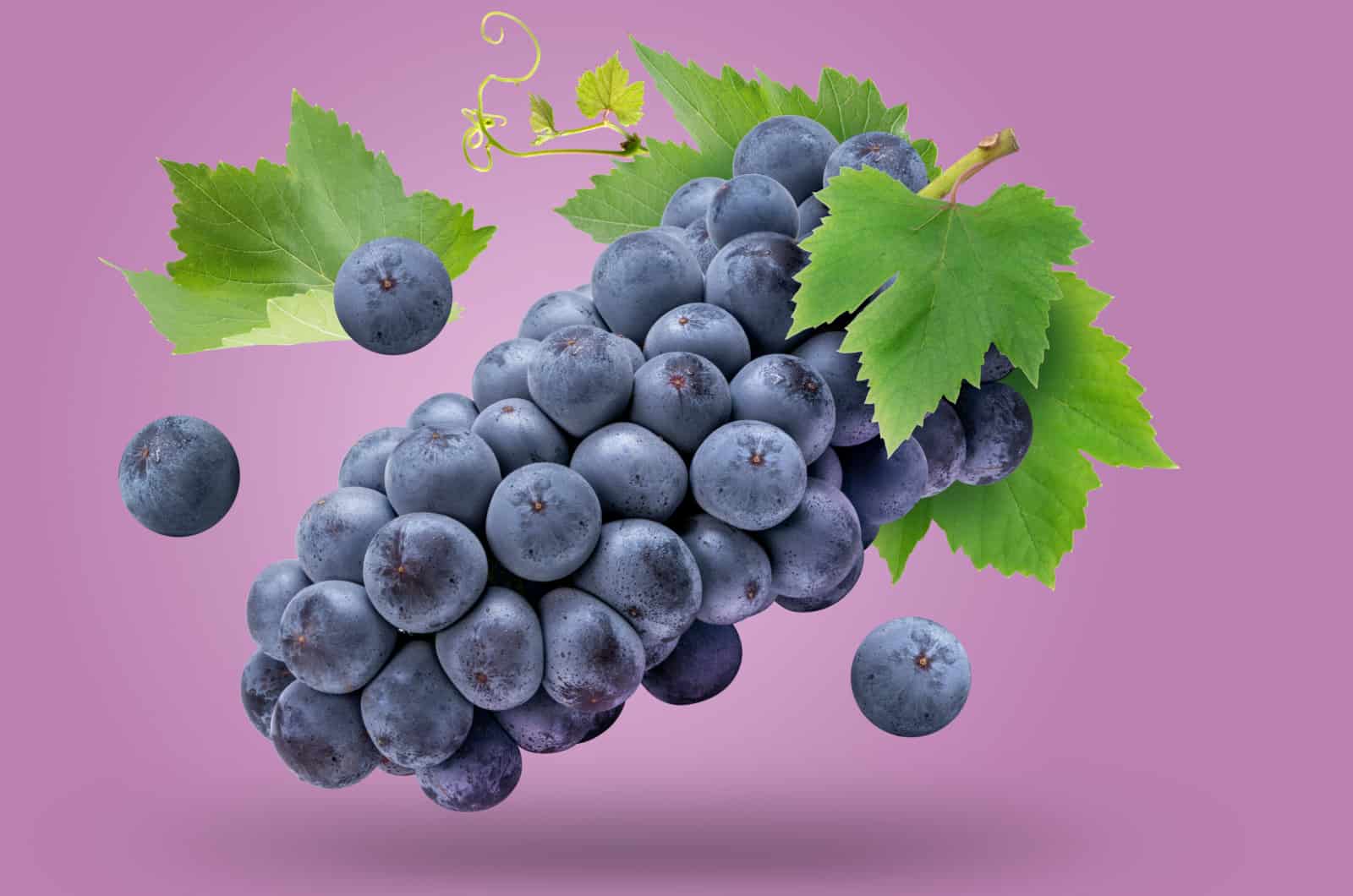 Kyoho grape